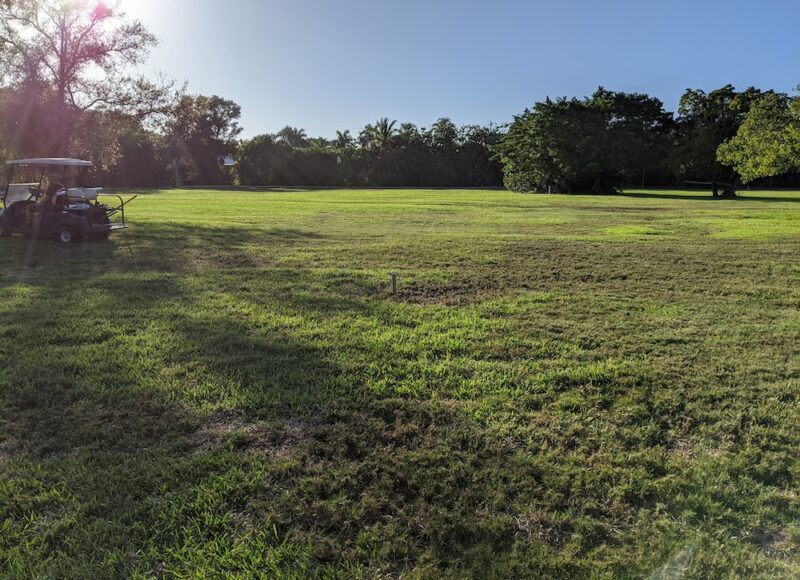 Image of meadow before EDD restoration.