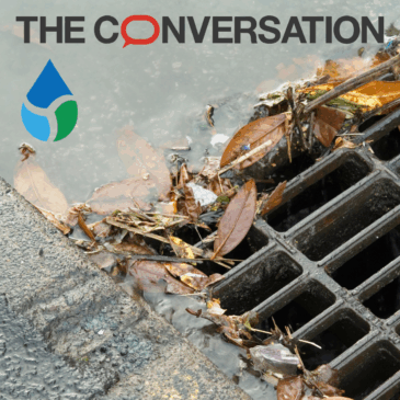 Image of stormwater grate with the logos of eDD and The Conversation