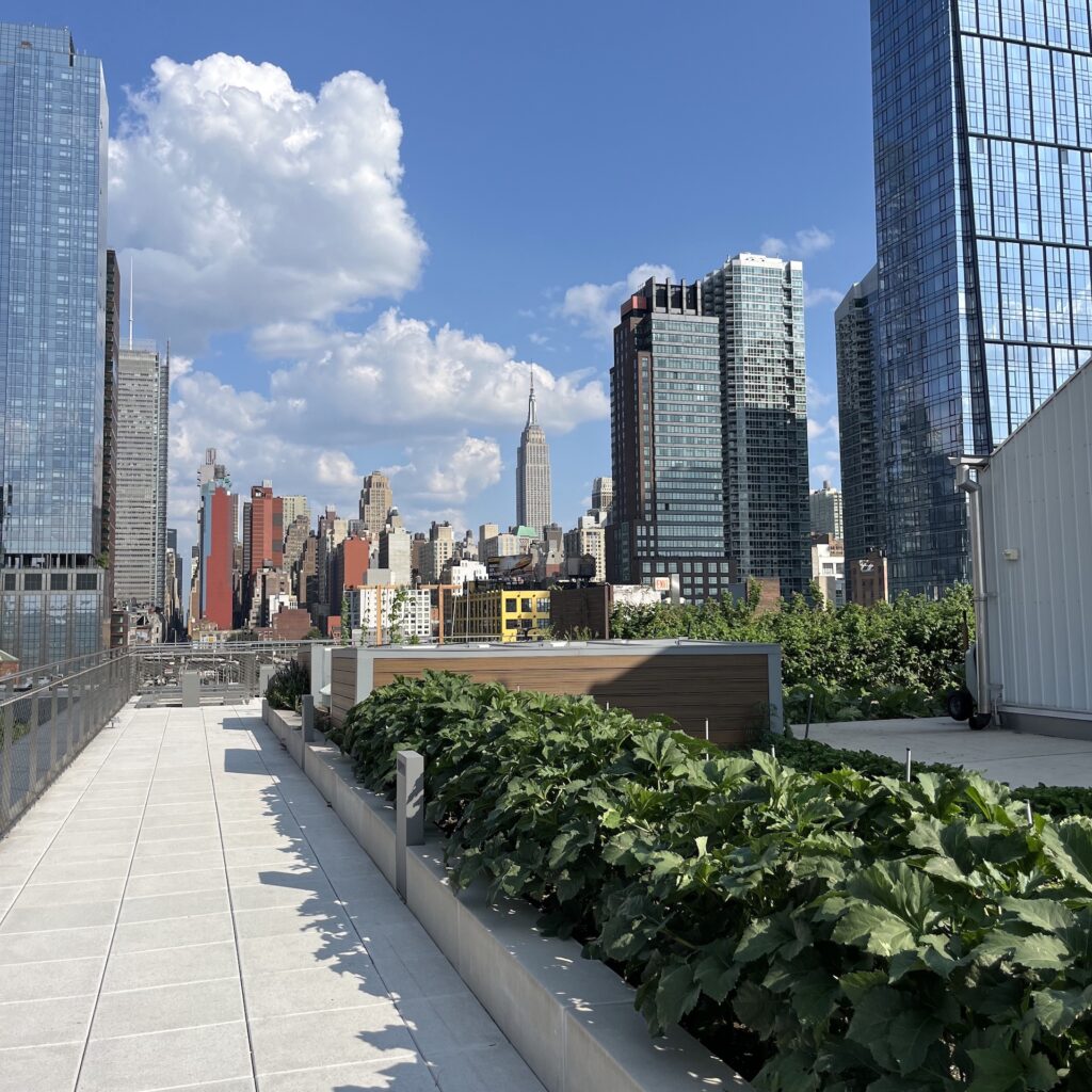 Greenery on the Javits Center Green Roof in the foreground with the Empire State Building in the background.