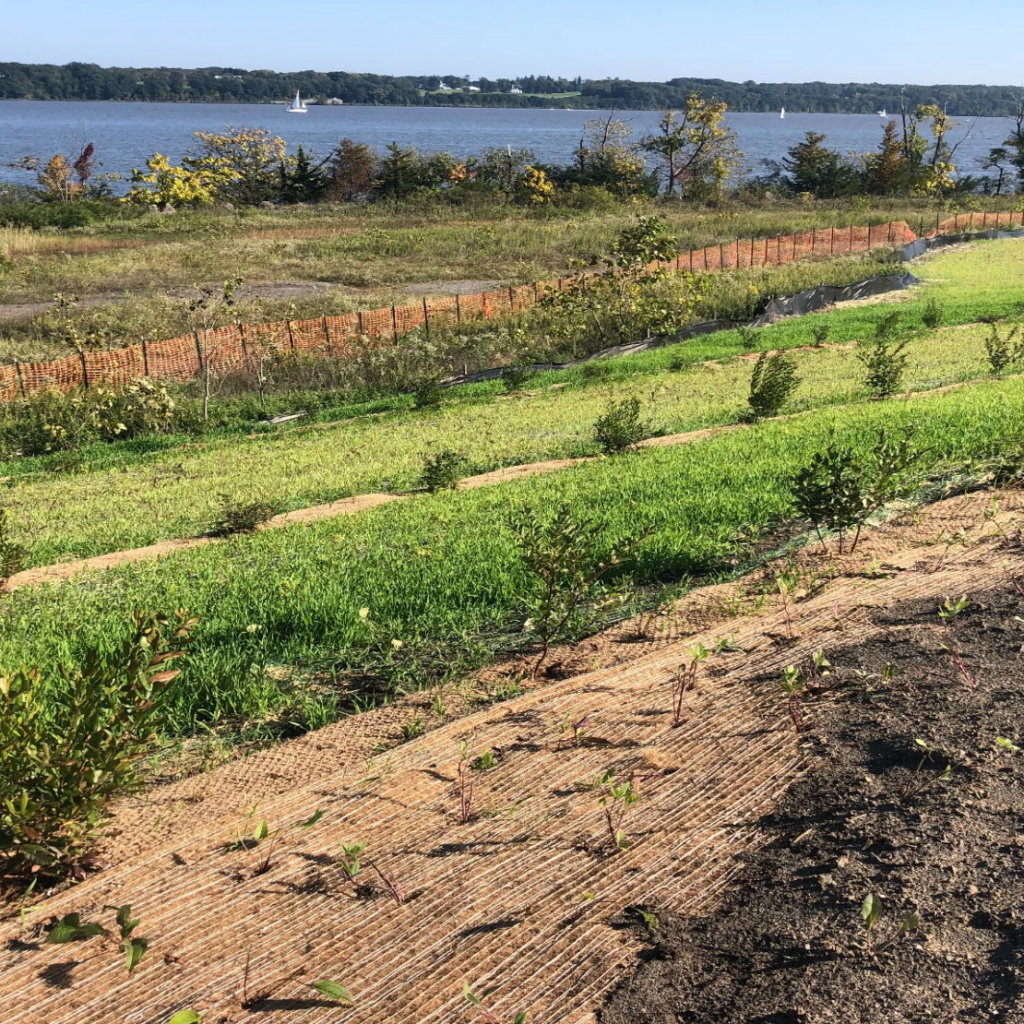 Image of eDesign Dynamics' award-winning work on the 520-acre former industrial zone and limestone quarry in Kingston, NY, on the western banks of the Hudson River for the client, Scenic Hudson.