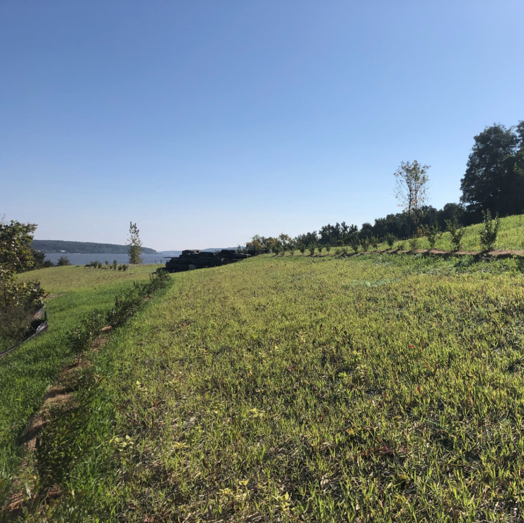 Image of eDesign Dynamics' award-winning work on the 520-acre former industrial zone and limestone quarry in Kingston, NY, on the western banks of the Hudson River for the client, Scenic Hudson.