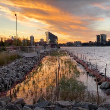 Gansevoort Peninsula at North Edge with Salt Marsh during sunset
