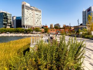 Gansevoort Peninsula Salt Marsh - photo by Barrett Doherty