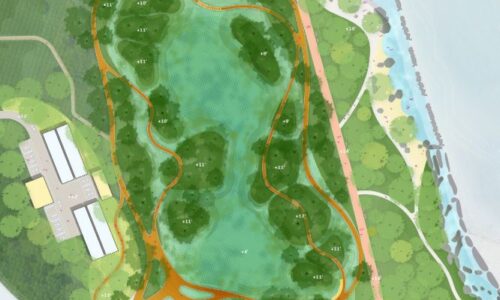 Plan of proposed Atlantic white cedar swamp (image by SCAPE Landscape Architecture).