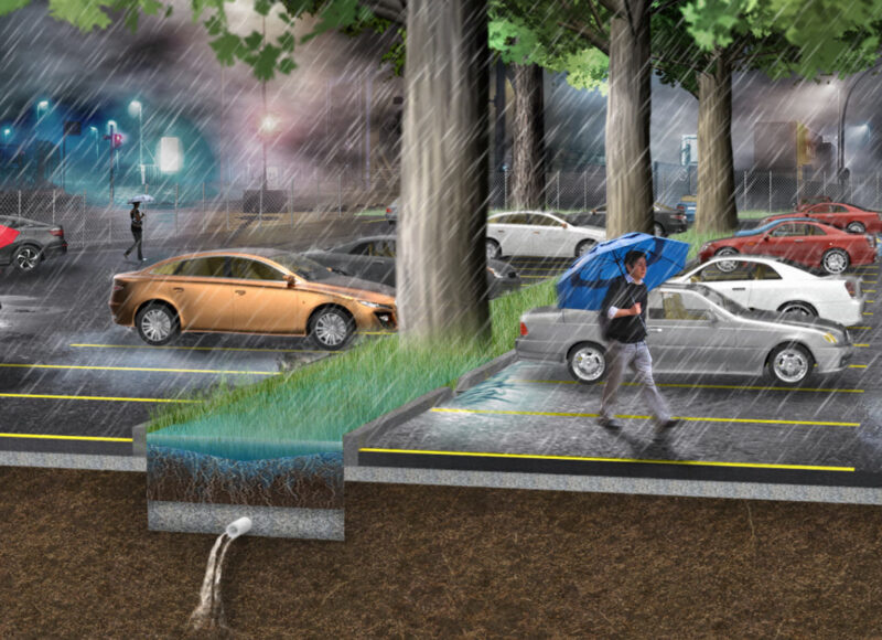 Perspective showcasing a proposed forested parking lot, a nature-based solution (NBS) intervention to enhance ecosystem co-benefits through stormwater management, green infrastructure, and ecology.